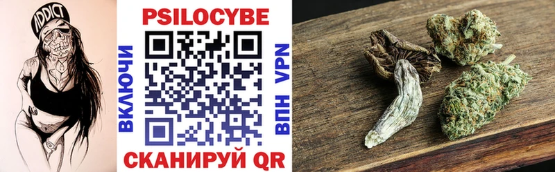 Купить закладки  Высоцк  Галлюциногенные грибы Cubensis 